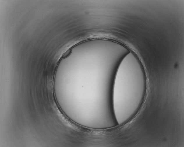X0000116281041200911301036