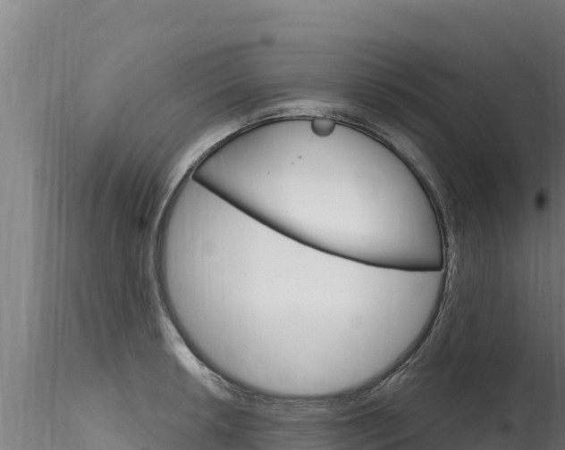 X0000116281042200911301036