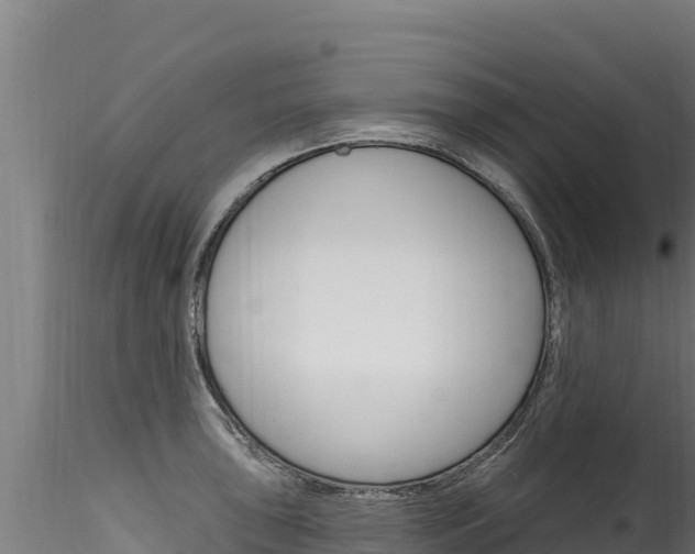 X0000116281043200911301036