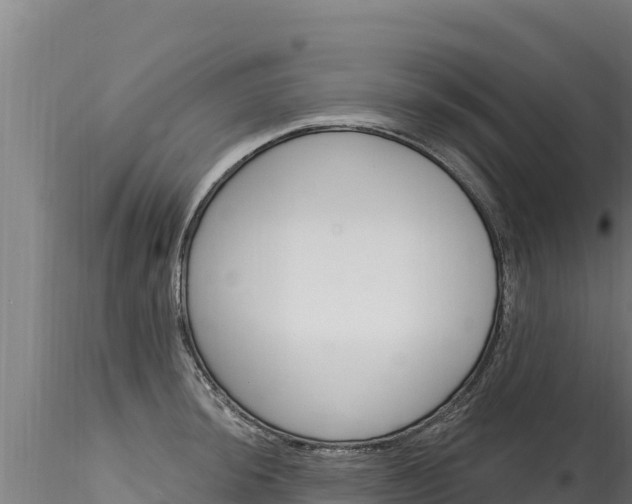 X0000116281044200911301036