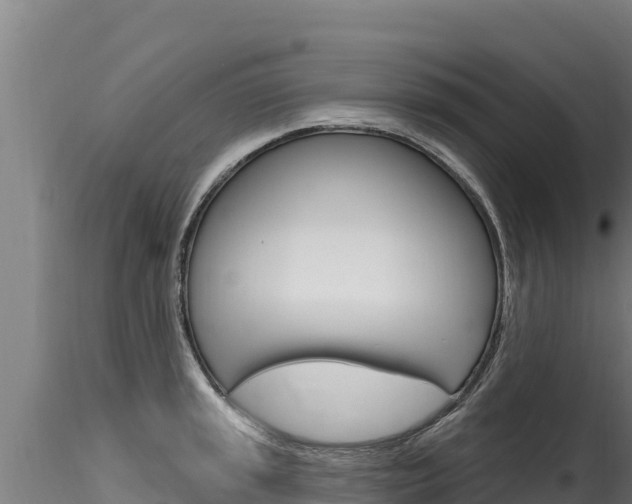 X0000116281045200911301036