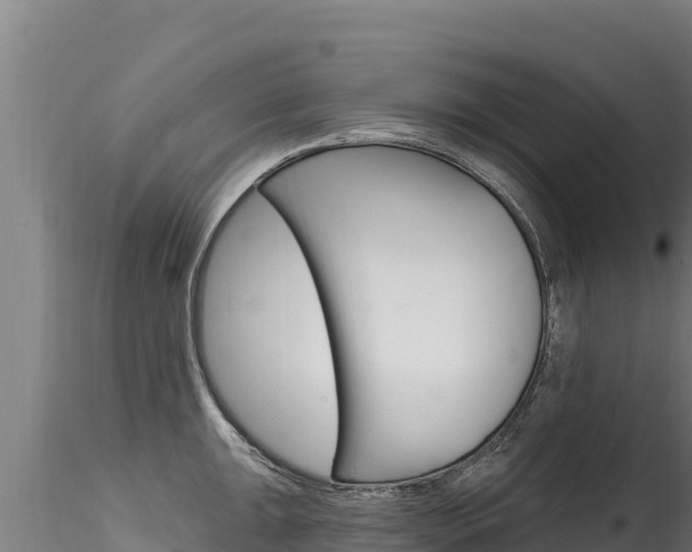 X0000116281047200911301036