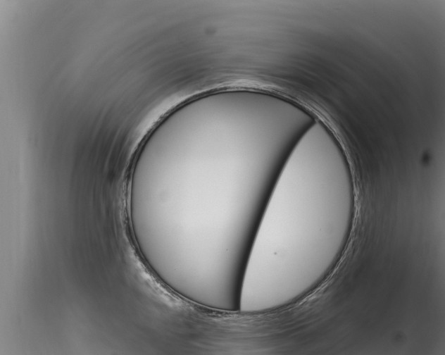 X0000116281048200911301036