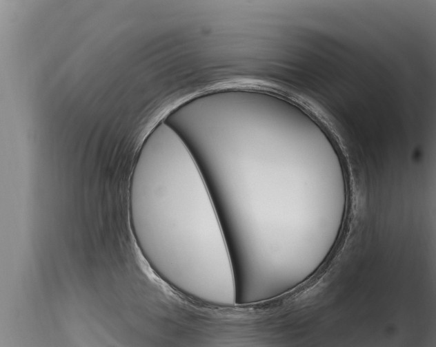 X0000116281049200911301036