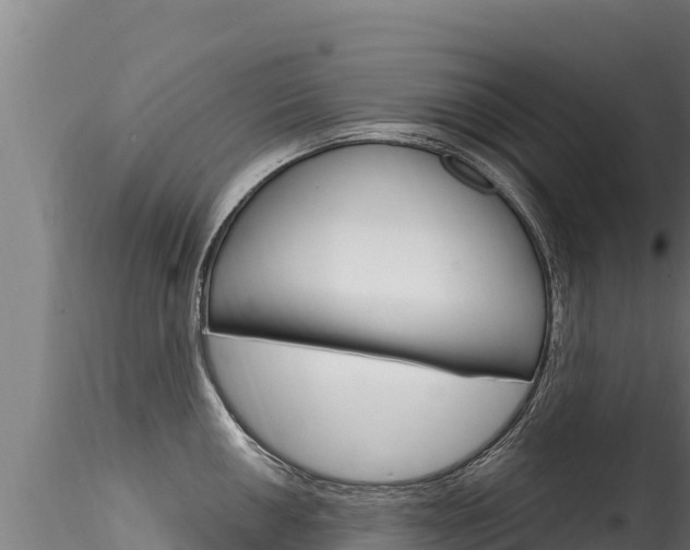 X0000116281050200911301036