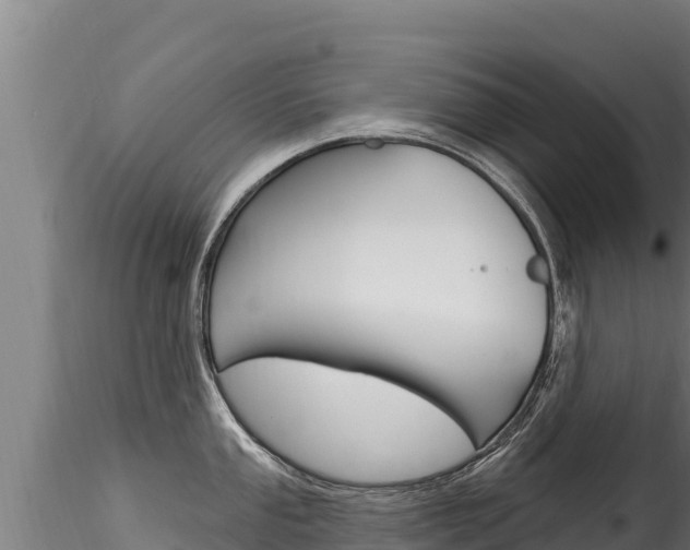 X0000116281053200911301036