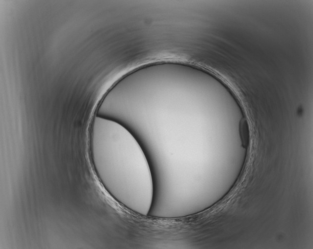 X0000116281056200911301036