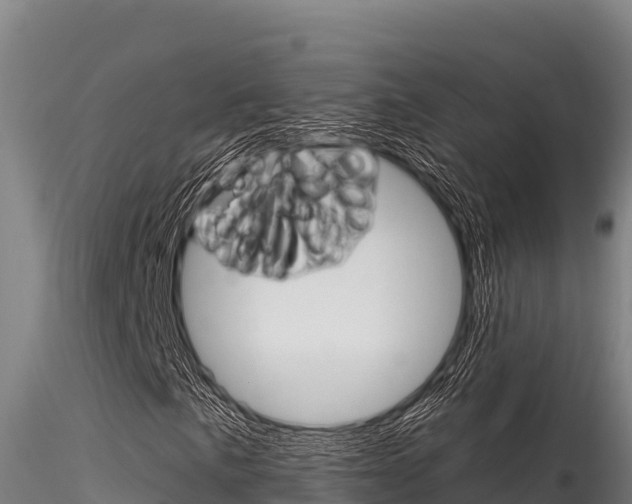 X0000116281057200911301035