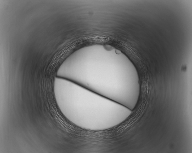 X0000116281058200911301035