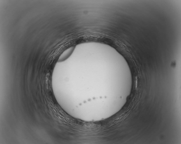 X0000116281059200911301035