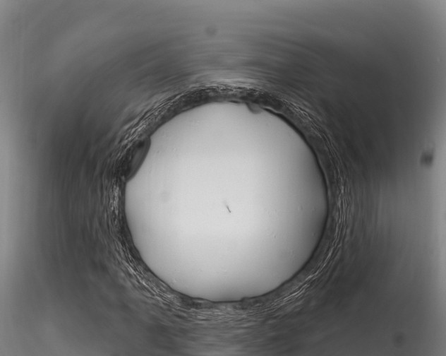 X0000116281061200911301035