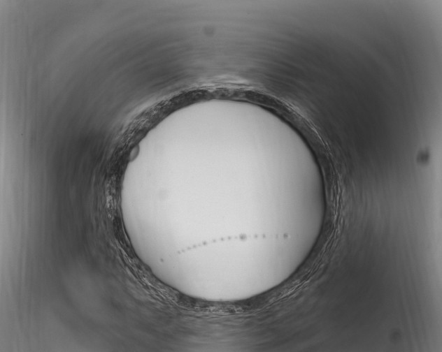 X0000116281063200911301035
