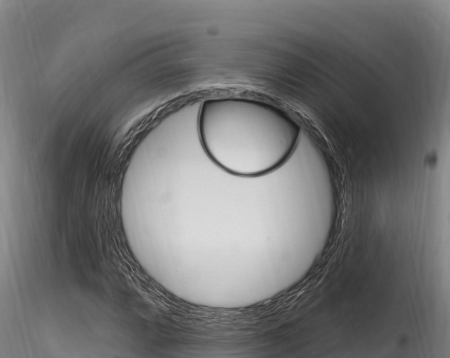 X0000116281064200911301035