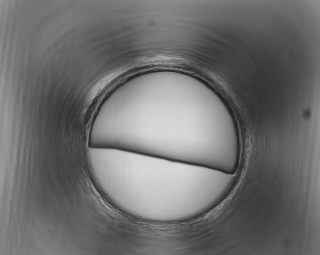 X0000116281066200911301035