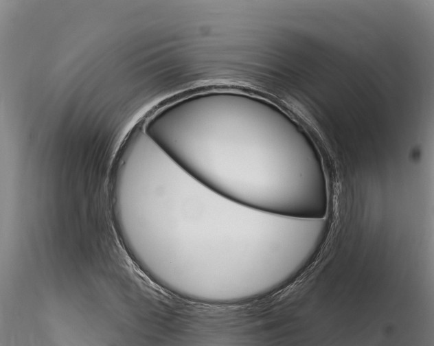 X0000116281068200911301035