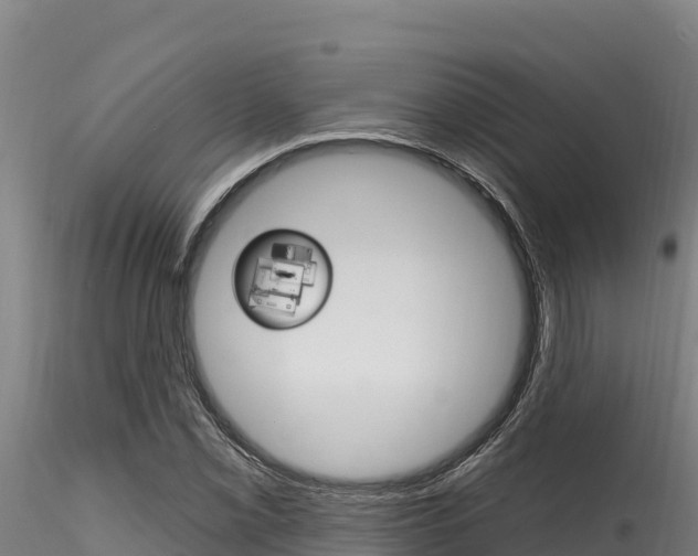 X0000116281069200911301035