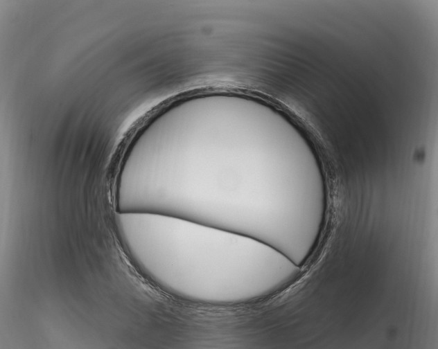 X0000116281070200911301035