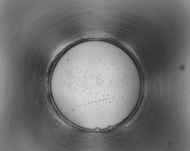 X0000116281071200911301035