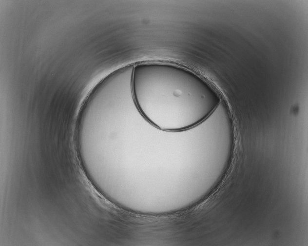 X0000116281072200911301035