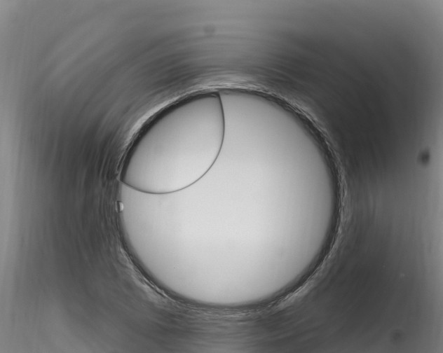 X0000116281073200911301035