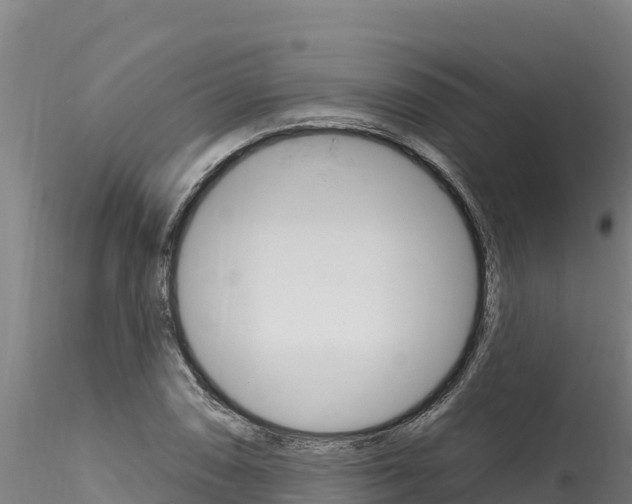 X0000116281074200911301035