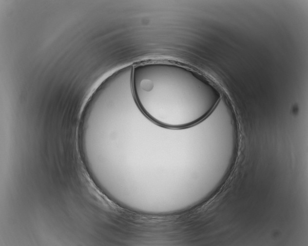 X0000116281076200911301035