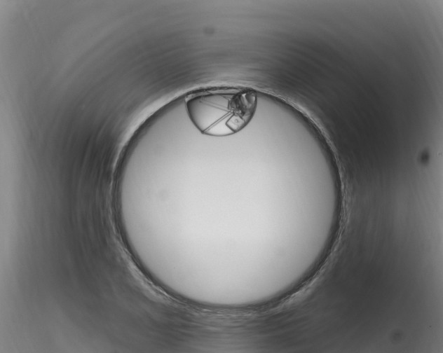X0000116281077200911301035