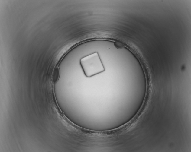 X0000116281081200911301035