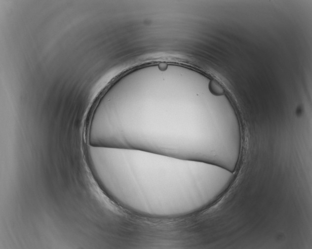 X0000116281082200911301035
