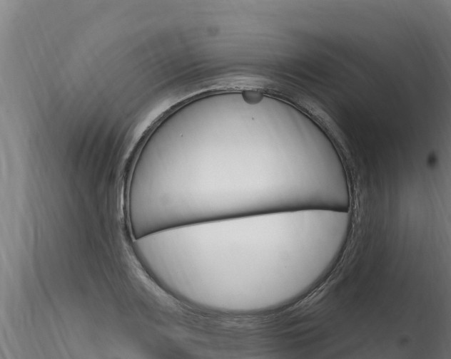 X0000116281083200911301035