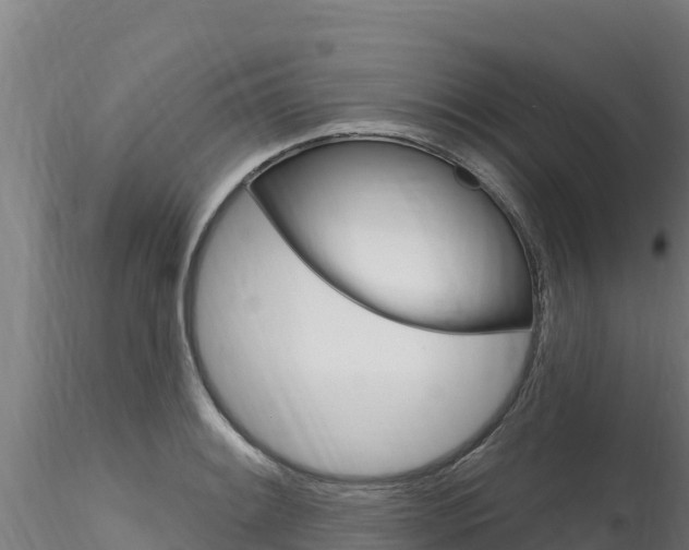 X0000116281084200911301035