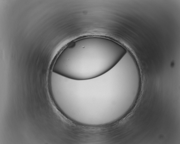 X0000116281085200911301035