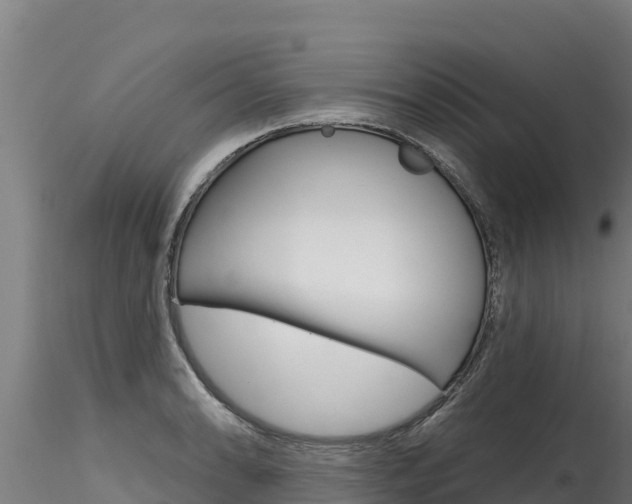 X0000116281086200911301035
