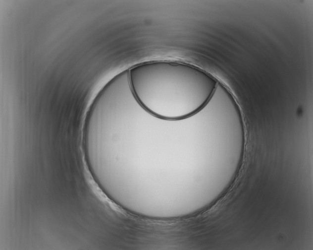 X0000116281088200911301035