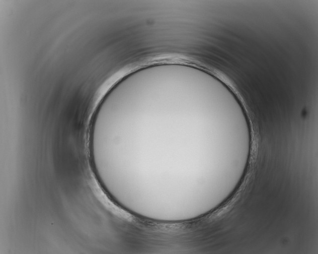 X0000116281090200911301035
