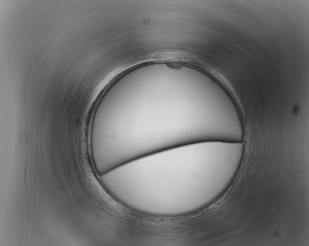 X0000116281091200911301035