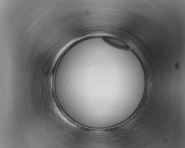 X0000116281092200911301035
