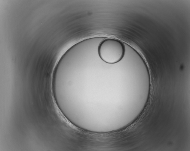 X0000116281096200911301035