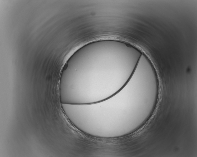 X0000116281097200911301035