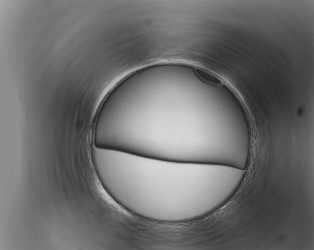 X0000116281100200911301035