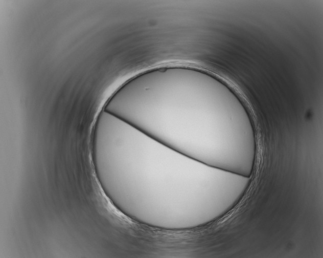 X0000116281102200911301035