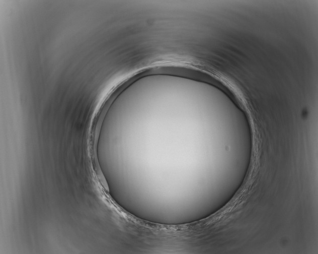 X0000116281104200911301035