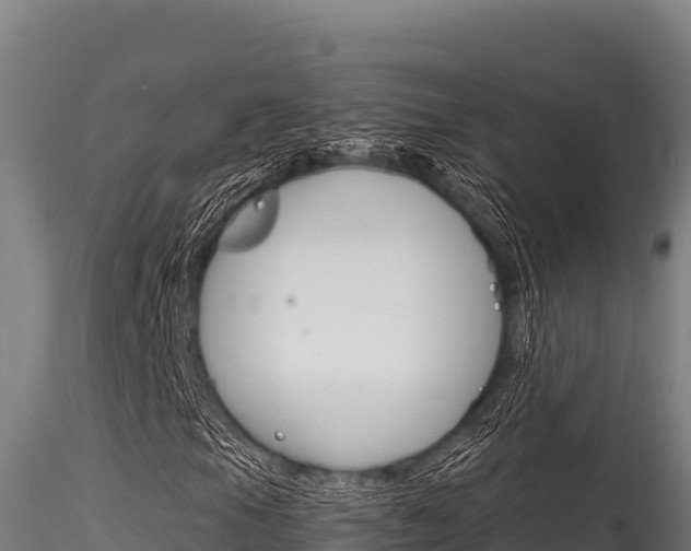 X0000116281105200911301034