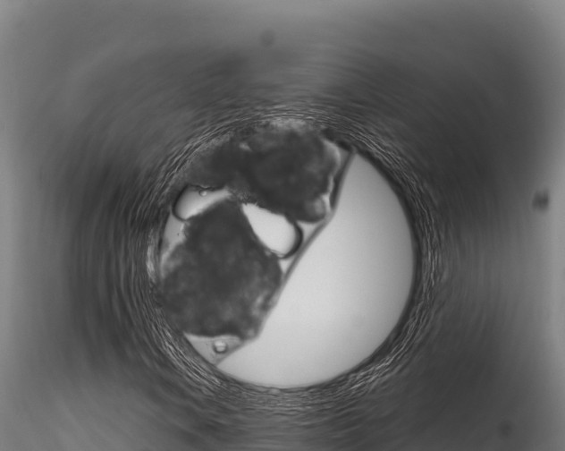 X0000116281106200911301034