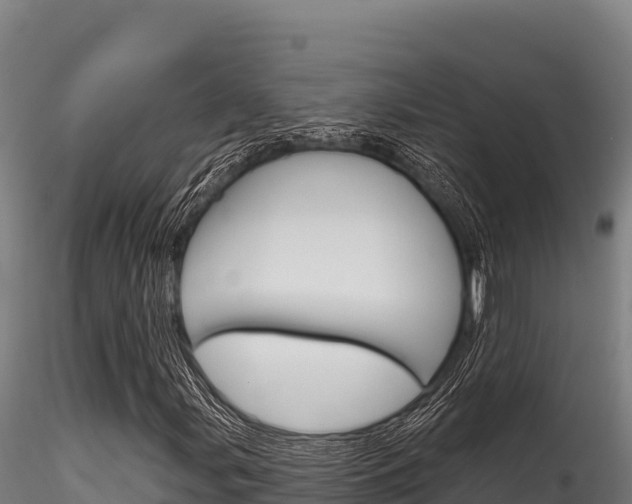 X0000116281107200911301034