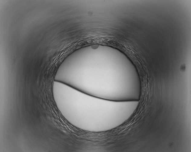 X0000116281109200911301034