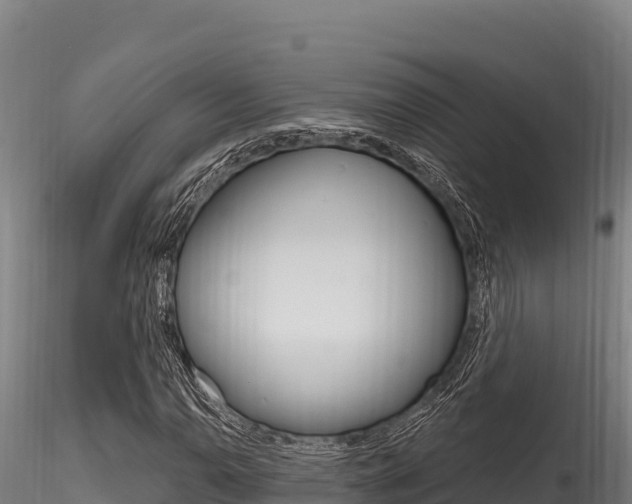 X0000116281110200911301034