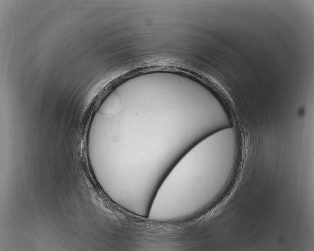 X0000116281117200911301034