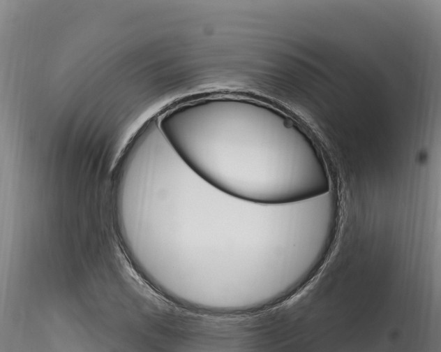 X0000116281118200911301034