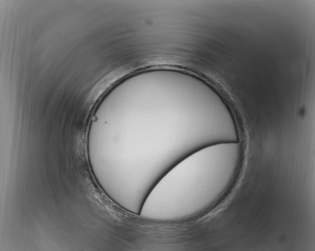 X0000116281121200911301034